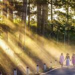 Freunde helfen gegen Suizid