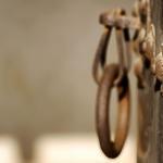 sehr lyrisch, dieses Bild