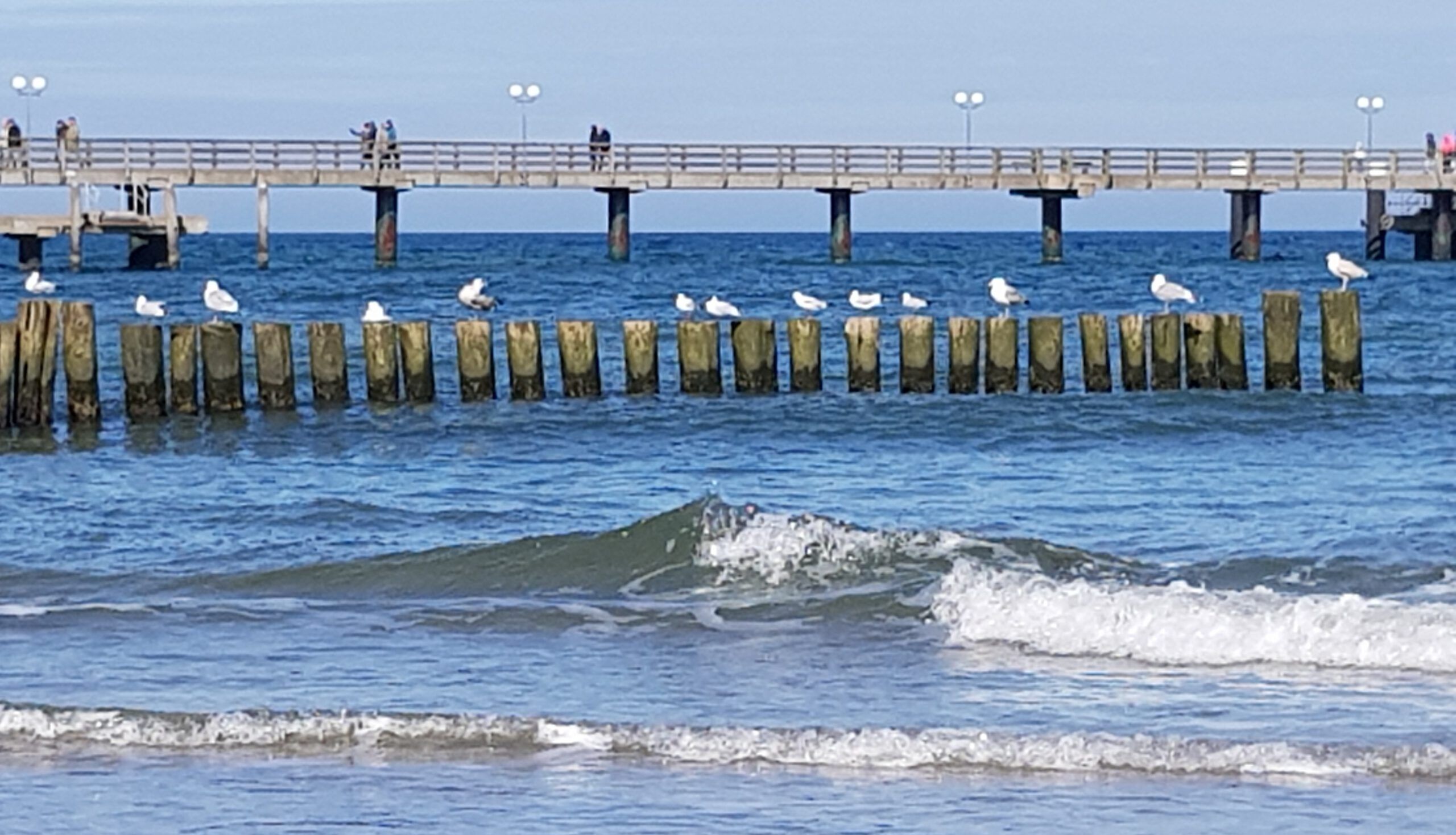 Super Sommer am Meer