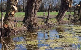 Was kommt nach dem Klimawandel