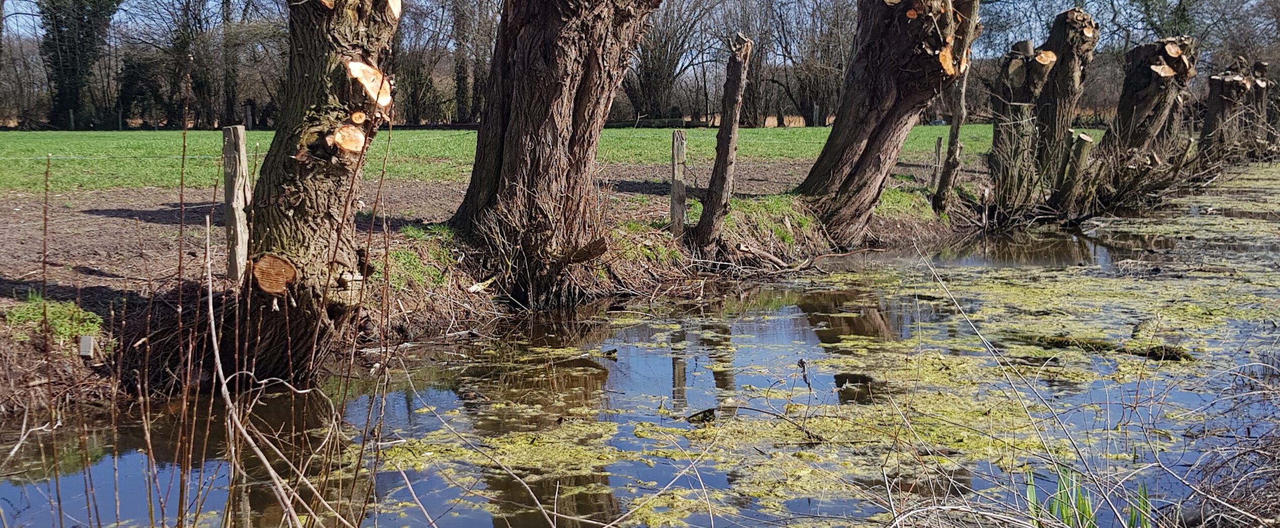 Was kommt nach dem Klimawandel