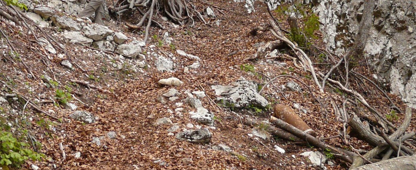 Streumunition Blindgänger