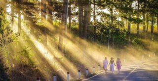 Freunde helfen gegen Suizid