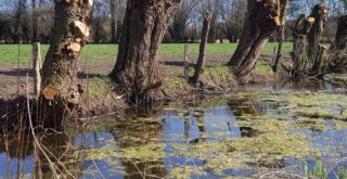 Was kommt nach dem Klimawandel