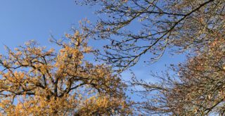 Klimawandel und Goldener Oktober